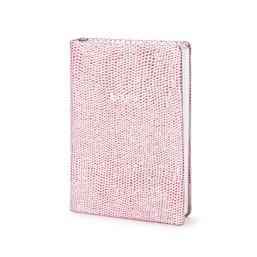 Taschentageskalender 2027 1 Tag 1 Seite Silver Red