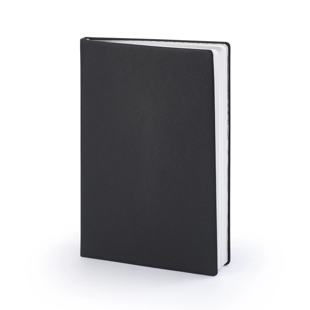 Leder Notizbuch