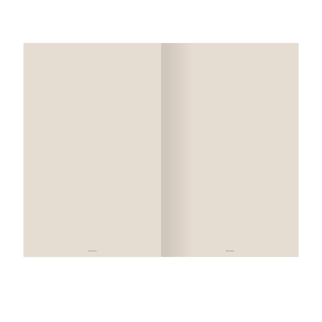 Notizbuch L Blanko Taubenblau