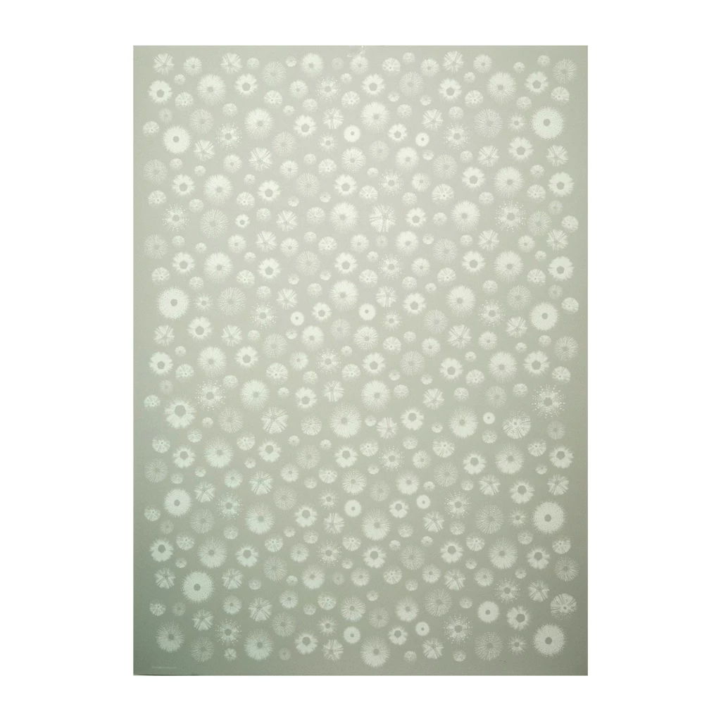 Geschenkpapier Seeigel 3er-Set Grau