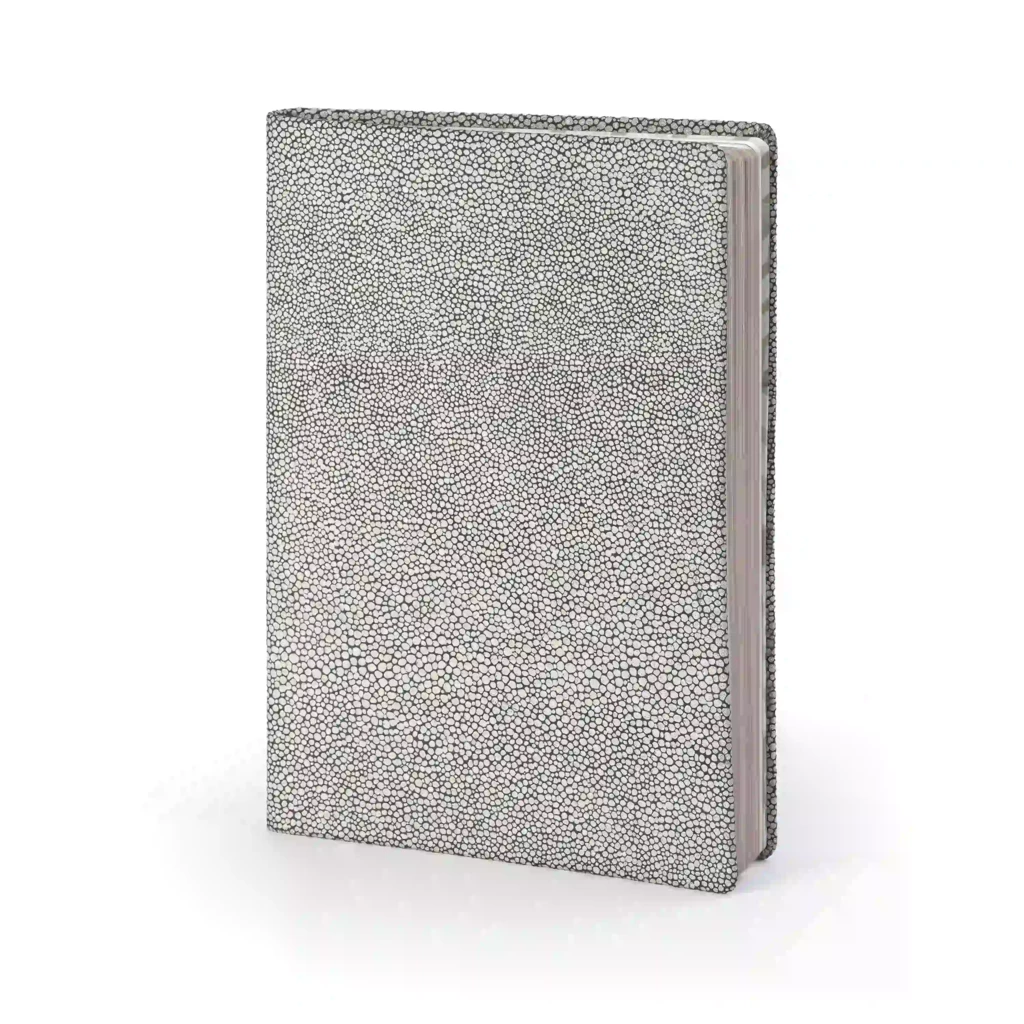 Notizbuch A5 Liniert Leder Silber