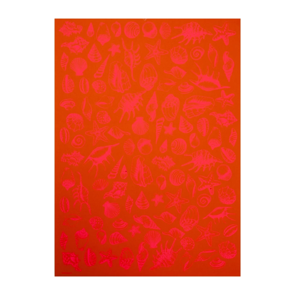 Geschenkpapier Muscheln 3er-Set Orange