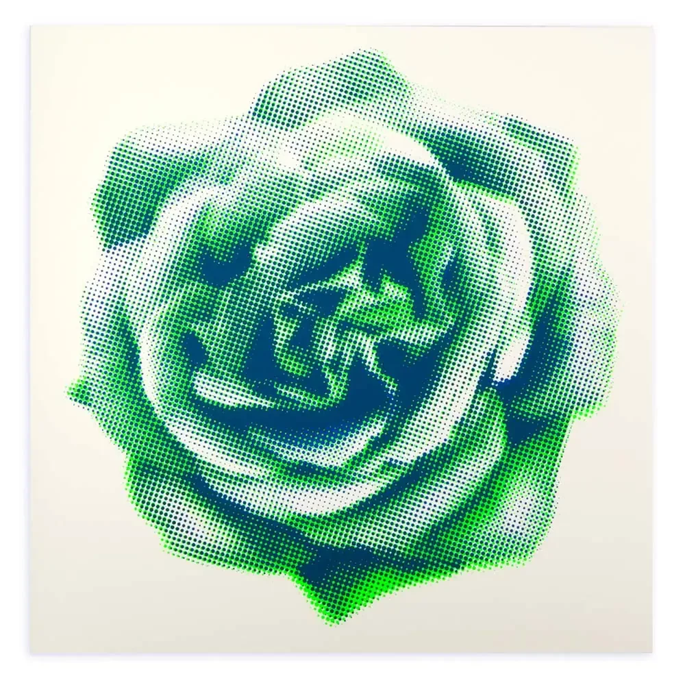 Grußkarte Rose gerastert Grün