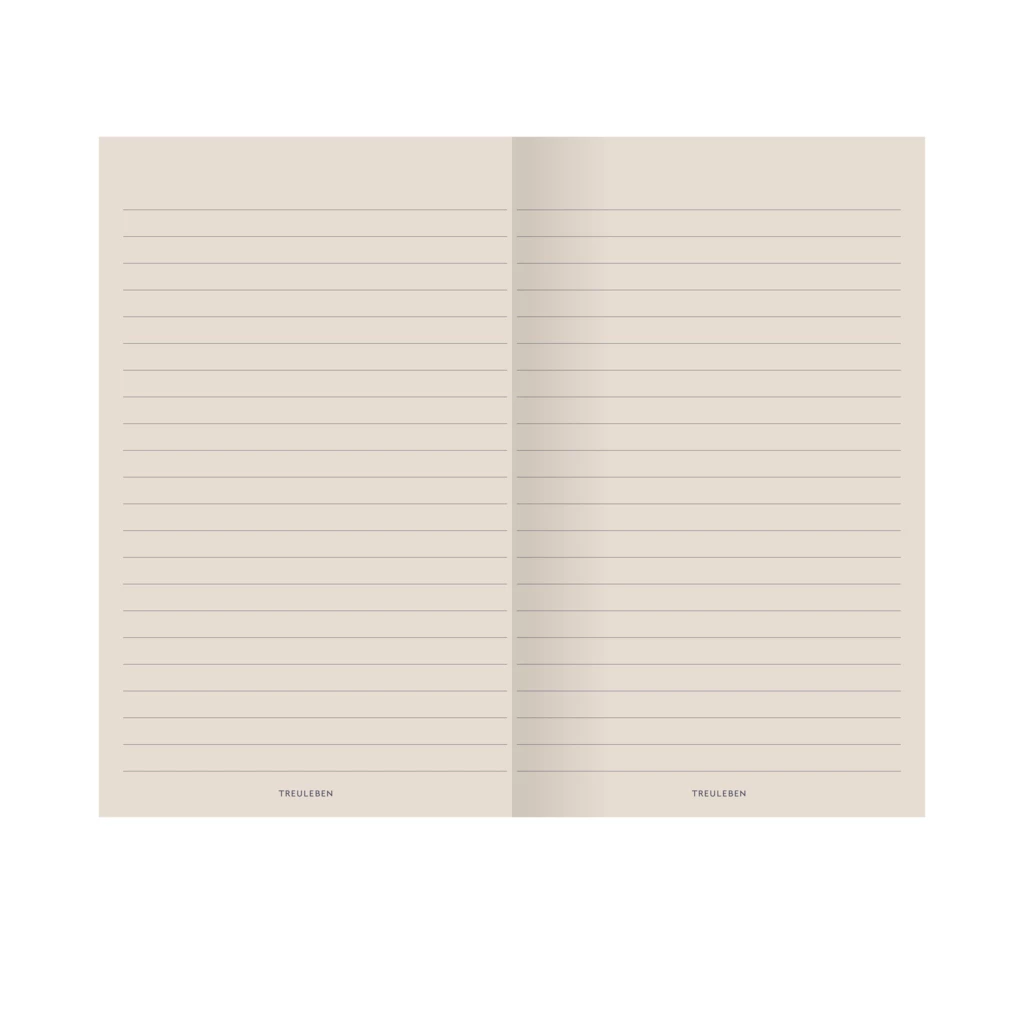 Notizbuch S Liniert Taubenblau