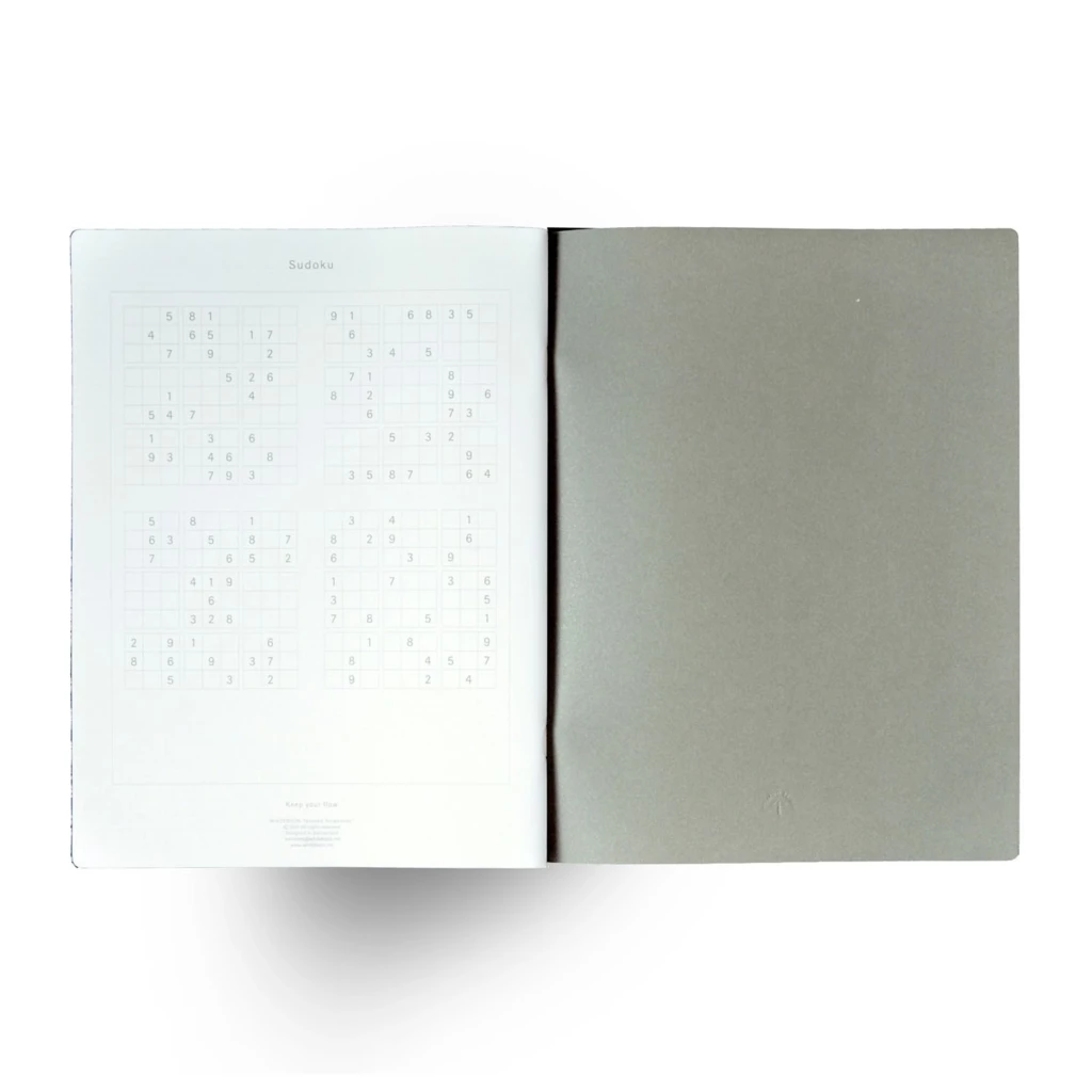 Whitebook SX Notizbucheinlagen 2er-Set Kariert