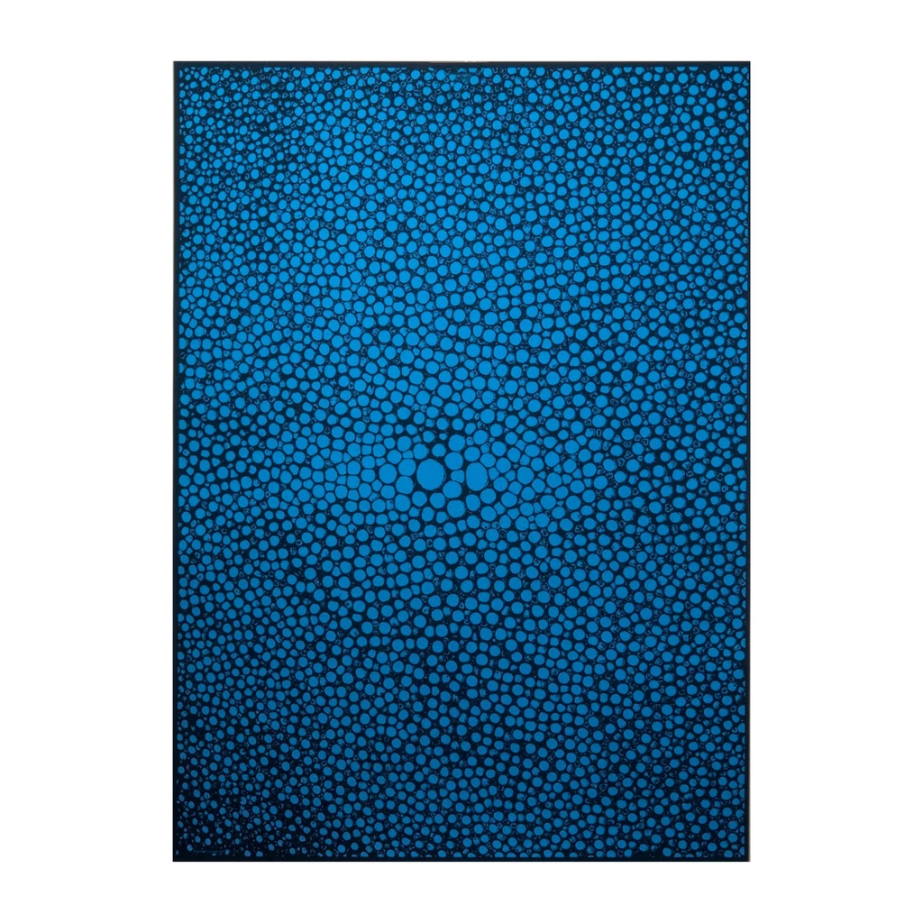 Geschenkpapier Rochen 3er-Set Blau