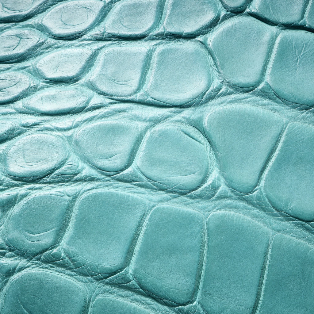 Clutch Alligator Leder Aqua