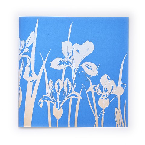 Grußkarte Schwertlilie blau Farbverlauf silber/gold quadrati