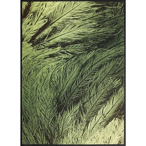 Geschenkpapier Pfauenfeder grün 50 x 70 cm, 3 Bögen