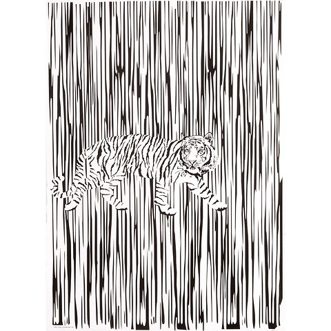 Bethge Geschenkpapier Tiger schw.-weiß 50 x 70 cm, 3 Bögen