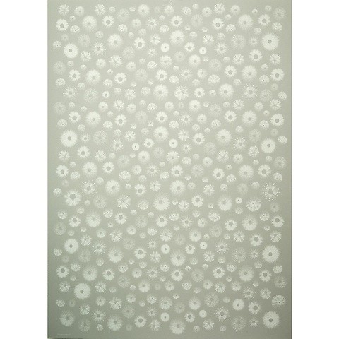 Geschenkpapier Seeigel grau 50 x 70 cm, 3 Bögen