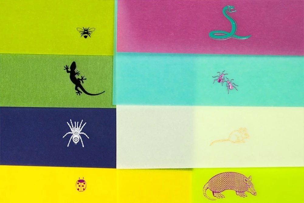 Grußkarten-Set Creepy Crawlies mit 8 Klappkarten