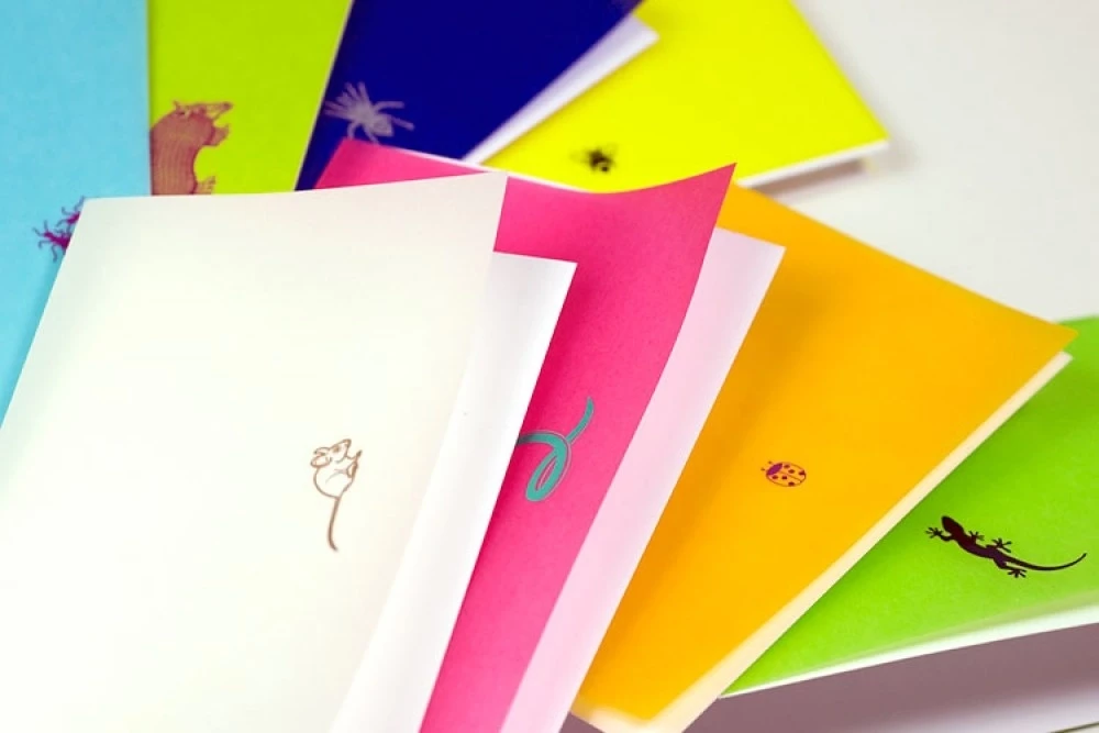 Grußkarten-Set Creepy Crawlies mit 8 Klappkarten