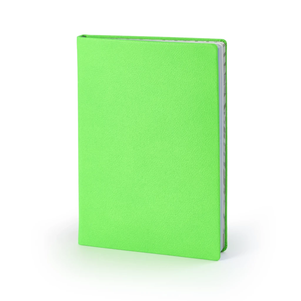 Notizbuch A5 Liniert Leder Leuchtgrün