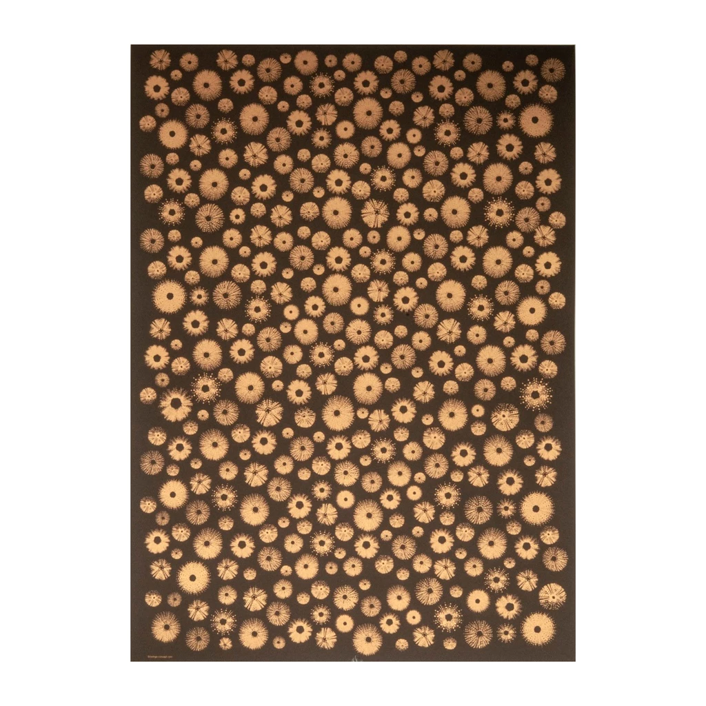 Geschenkpapier Rochen 3er-Set Aubergine