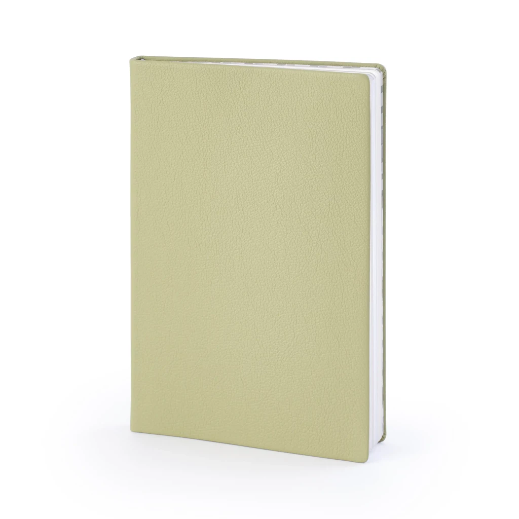 Notizbuch A5 liniert Leder Grün