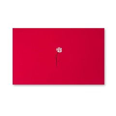 Grußkarte Rose Pure Rot Mini