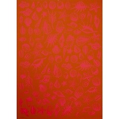Geschenkpapier Muscheln orange 50 x 70 cm, 3 Bögen