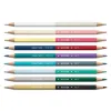 Caran d'Ache Bicolor Farbstift Set Alpine Frost
